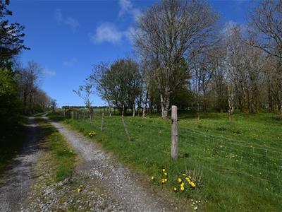Picture 11